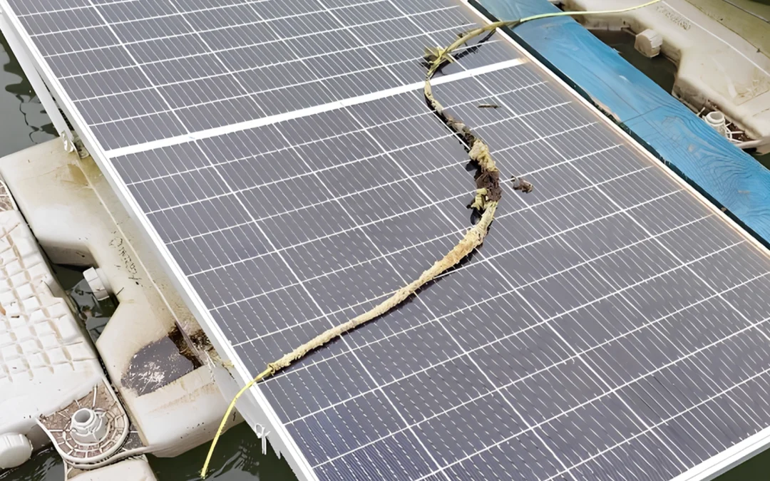 Case: Inspectie en herstel van drijvende PV-installatie