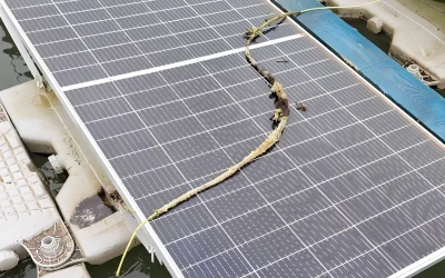 Case: Inspectie en herstel van drijvende PV-installatie